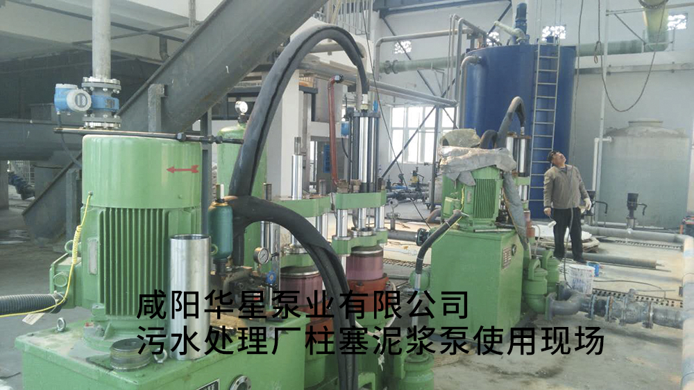 安徽池州清溪污水處理廠-水印