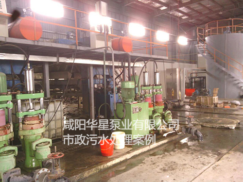 污水處理廠使用YBH300耐腐蝕泥漿泵客戶現場